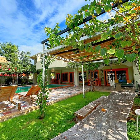 Royal Palm Retreat Apartment Cabrera Екстериор снимка
