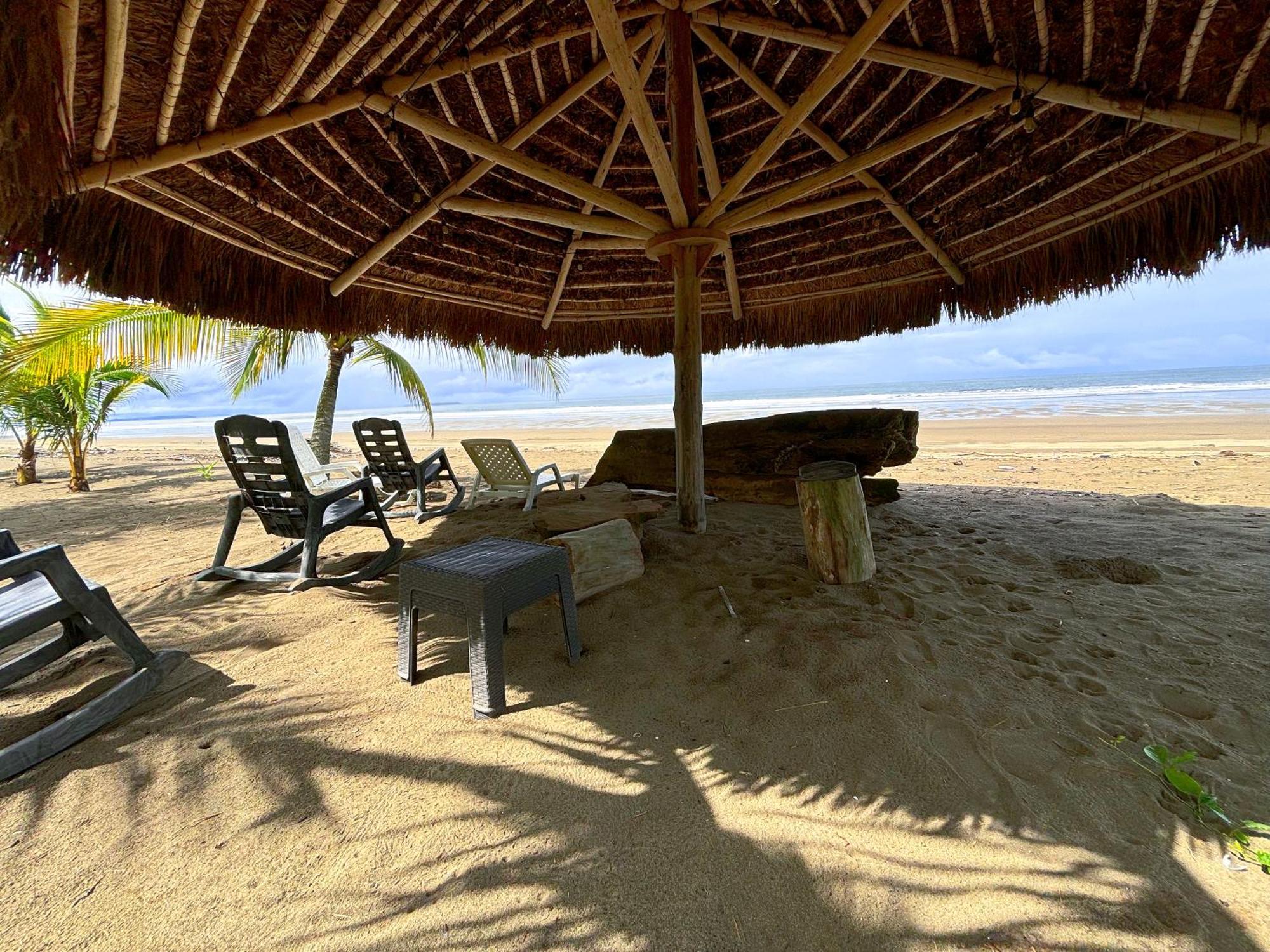 Royal Palm Retreat Apartment Cabrera Екстериор снимка