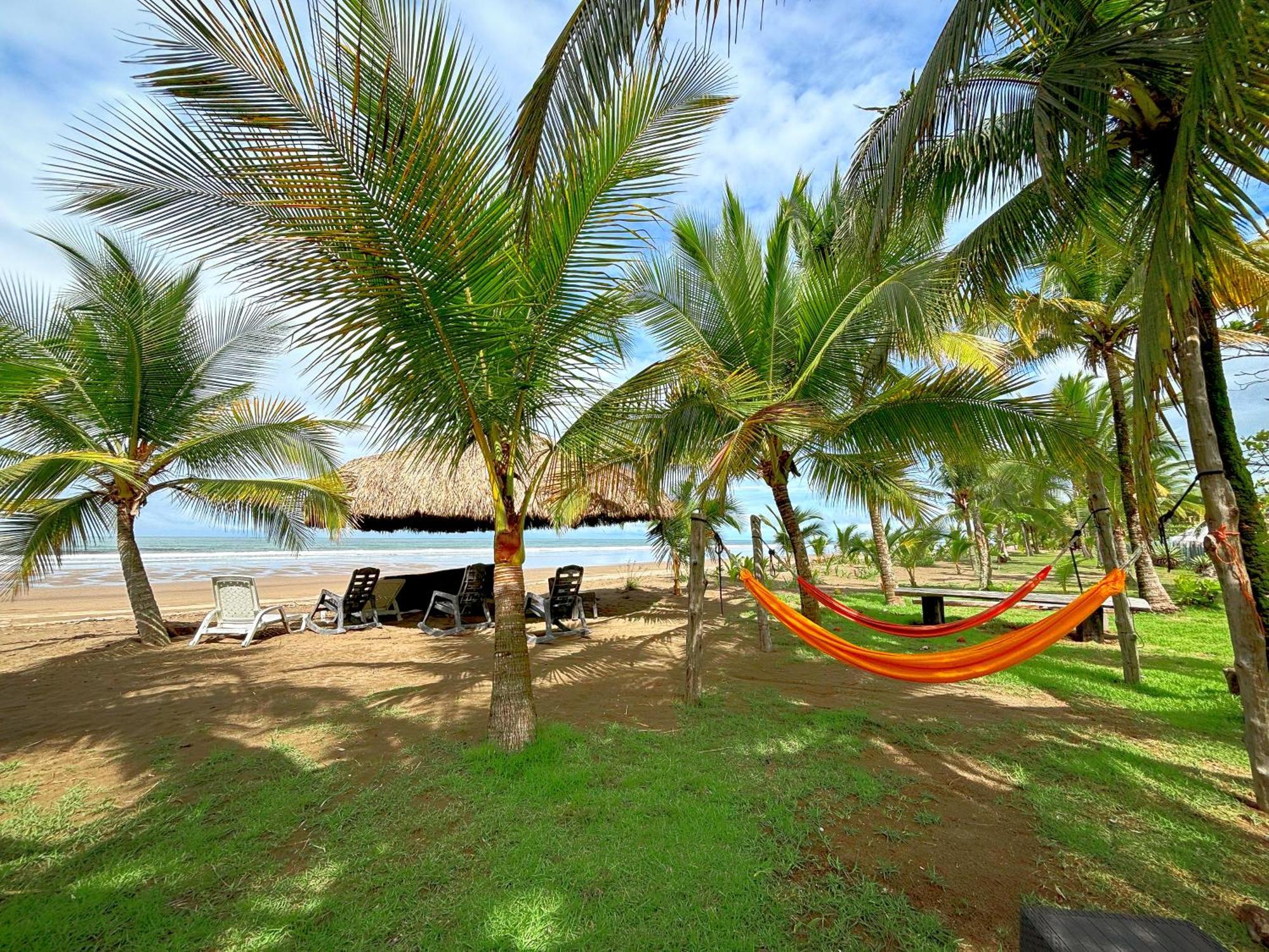 Royal Palm Retreat Apartment Cabrera Екстериор снимка